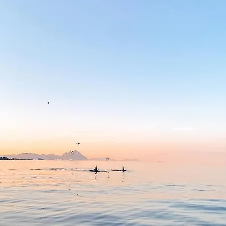 בית נופש Visit Mortsund, Lofoten