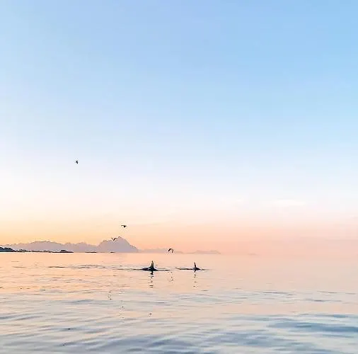 Σπίτι διακοπών Visit Mortsund, Lofoten